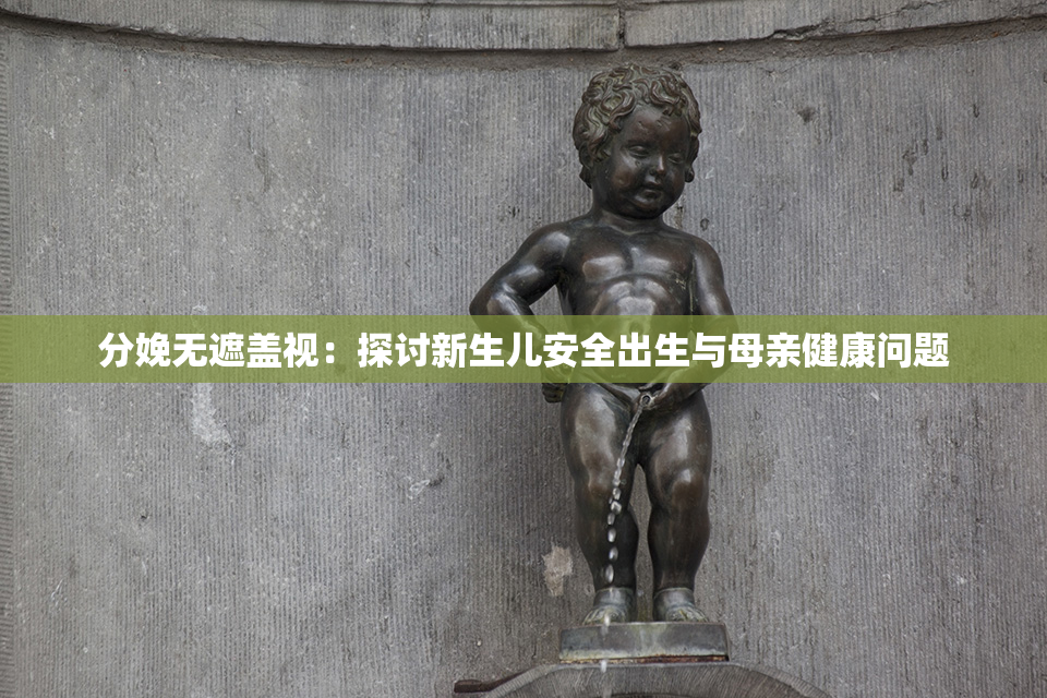 分娩无遮盖视：探讨新生儿安全出生与母亲健康问题