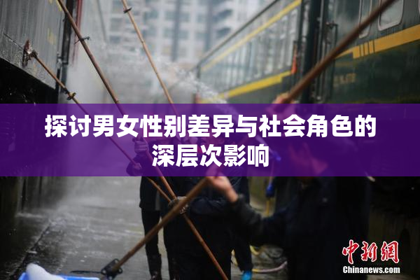 探讨男女性别差异与社会角色的深层次影响