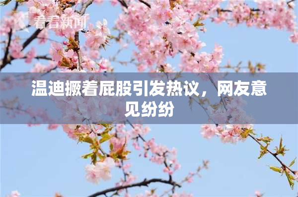 温迪撅着屁股引发热议，网友意见纷纷