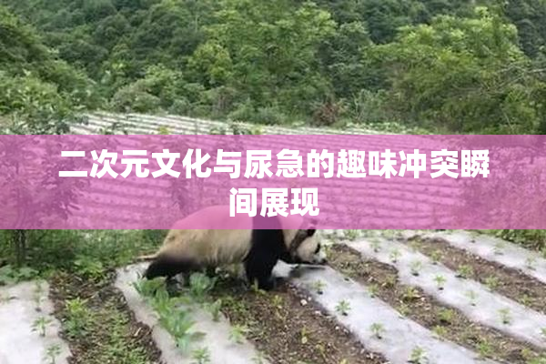 二次元文化与尿急的趣味冲突瞬间展现