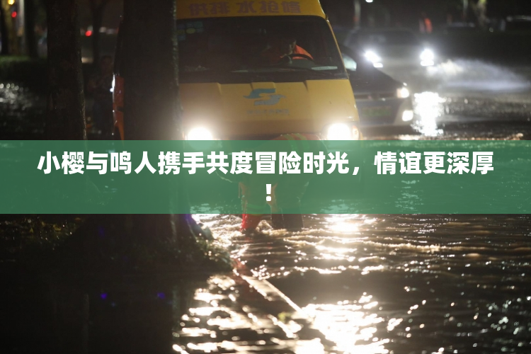 小樱与鸣人携手共度冒险时光，情谊更深厚！