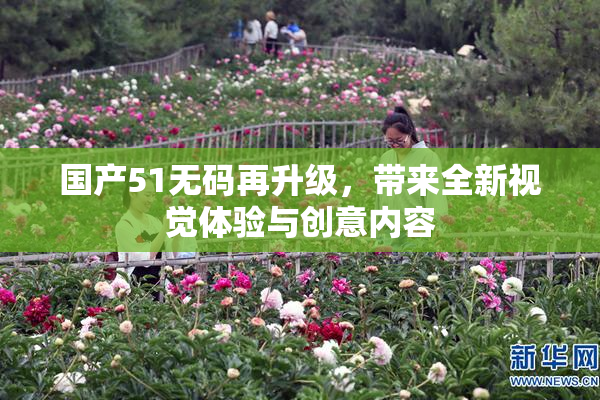国产51无码再升级，带来全新视觉体验与创意内容