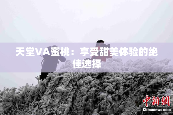 天堂VA蜜桃：享受甜美体验的绝佳选择