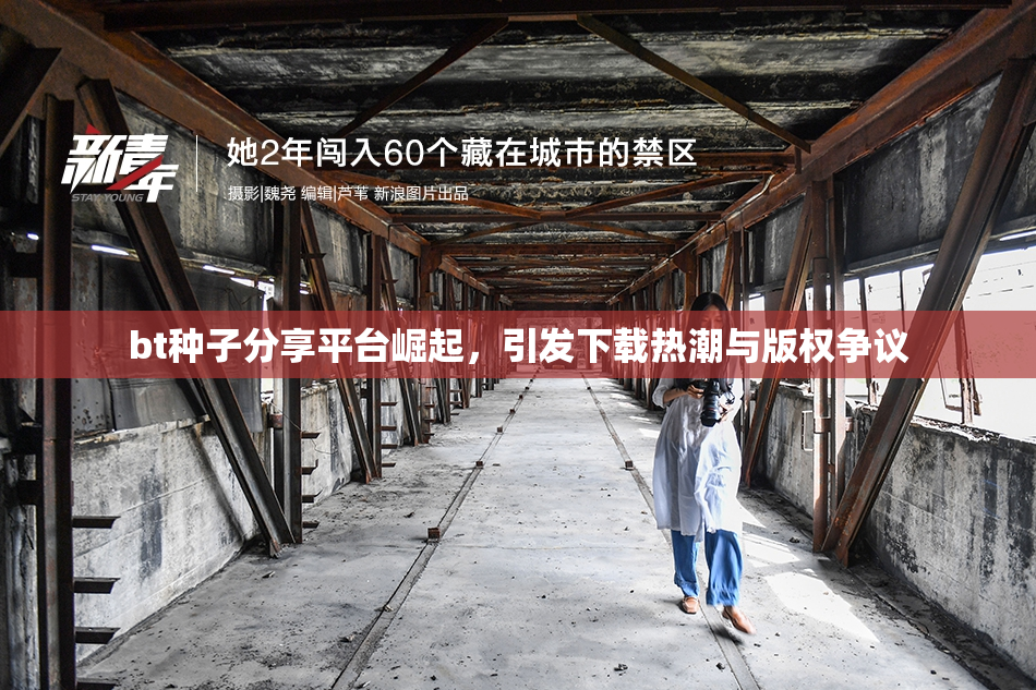 bt种子分享平台崛起，引发下载热潮与版权争议