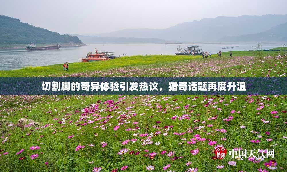 切割脚的奇异体验引发热议，猎奇话题再度升温