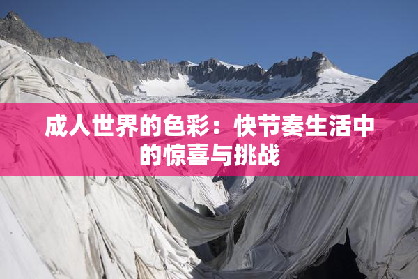 成人世界的色彩：快节奏生活中的惊喜与挑战