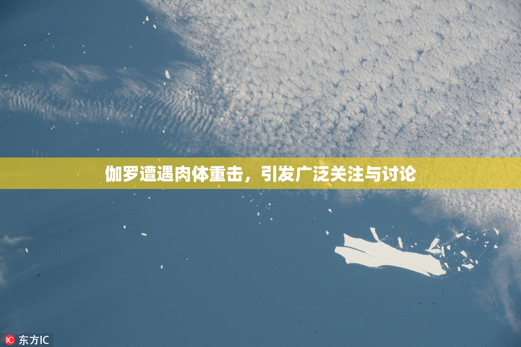伽罗遭遇肉体重击，引发广泛关注与讨论