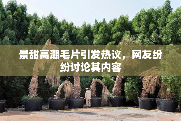 景甜高潮毛片引发热议，网友纷纷讨论其内容