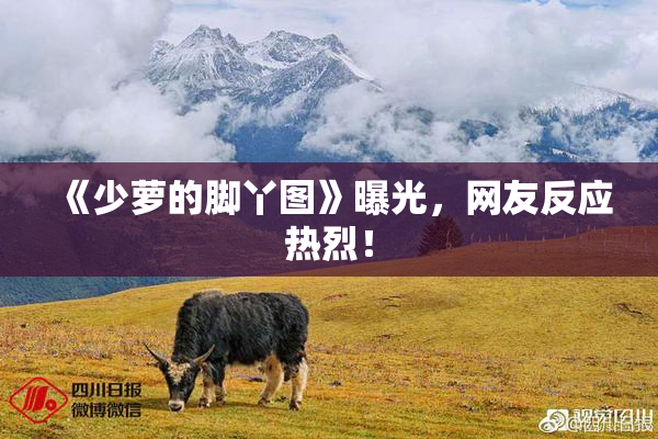 《少萝的脚丫图》曝光，网友反应热烈！