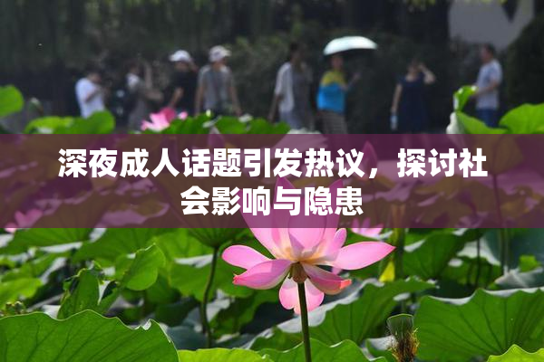 深夜成人话题引发热议，探讨社会影响与隐患