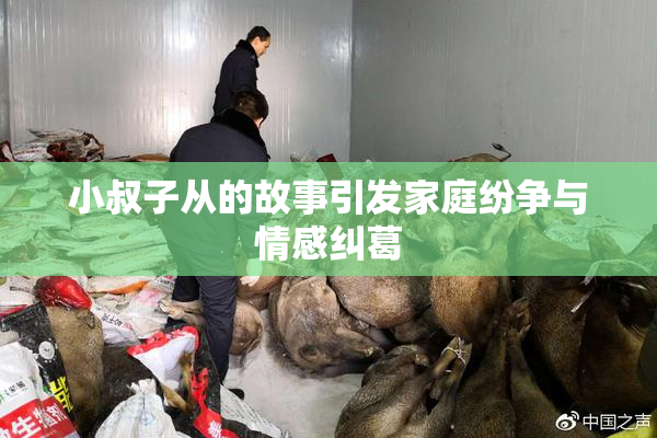 小叔子从的故事引发家庭纷争与情感纠葛