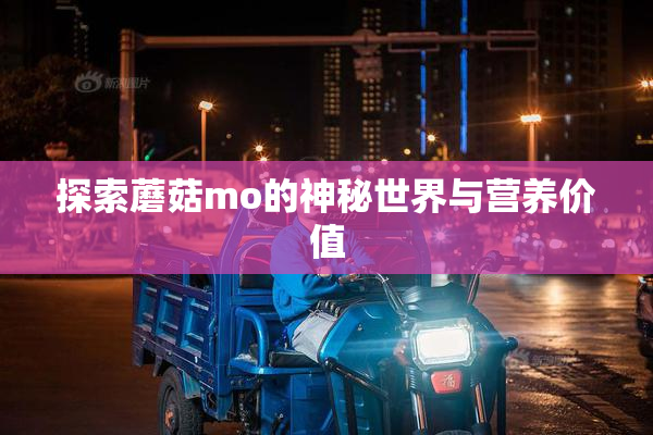 探索蘑菇mo的神秘世界与营养价值