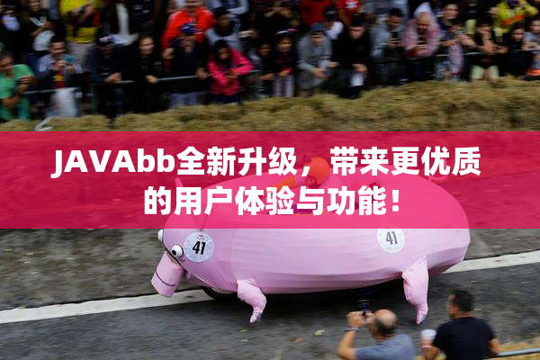 JAVAbb全新升级，带来更优质的用户体验与功能！