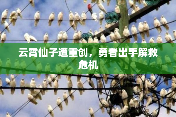 云霄仙子遭重创，勇者出手解救危机
