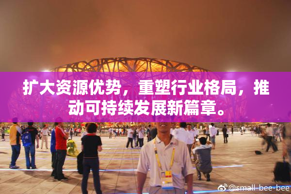 扩大资源优势，重塑行业格局，推动可持续发展新篇章。
