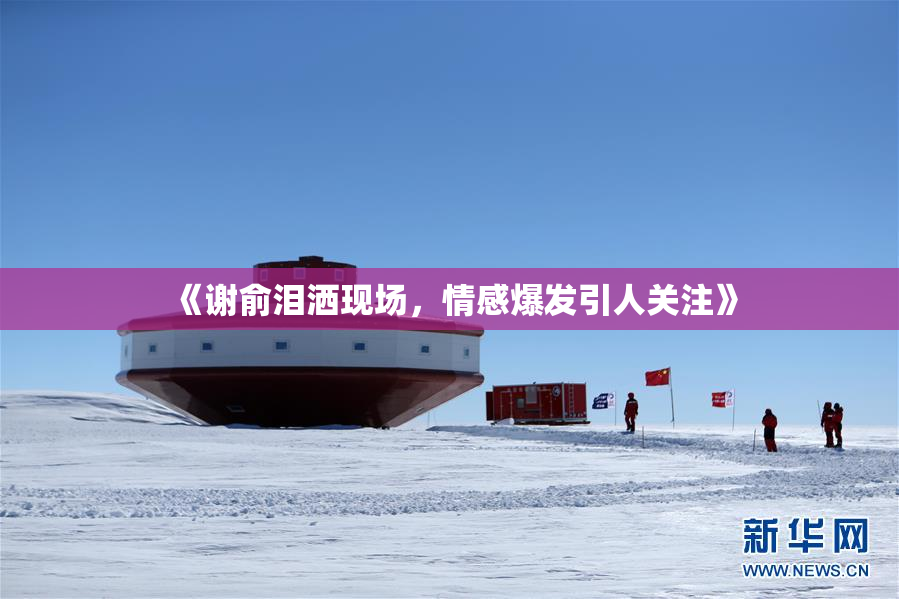《谢俞泪洒现场，情感爆发引人关注》