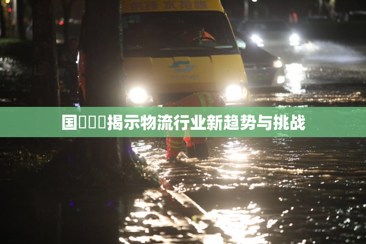 国產梱綁揭示物流行业新趋势与挑战
