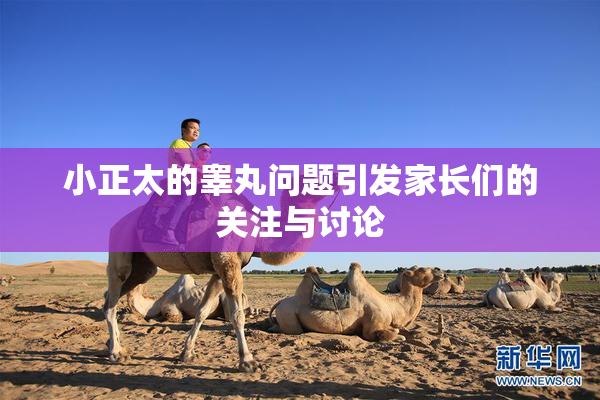 小正太的睾丸问题引发家长们的关注与讨论