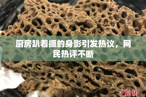 厨房趴着撅的身影引发热议，网民热评不断