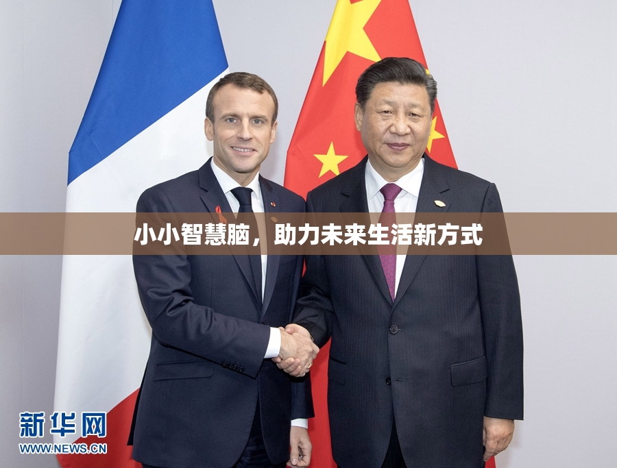小小智慧脑，助力未来生活新方式