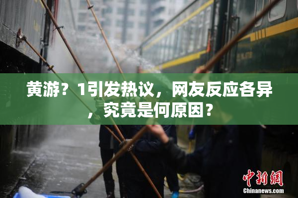 黄游？1引发热议，网友反应各异，究竟是何原因？