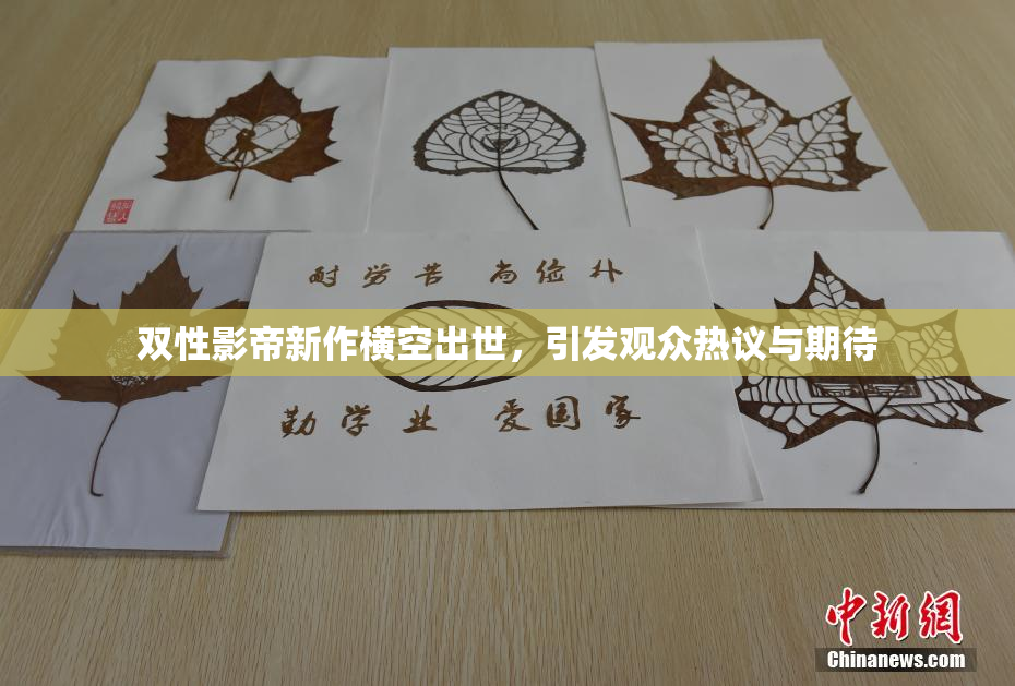 双性影帝新作横空出世，引发观众热议与期待