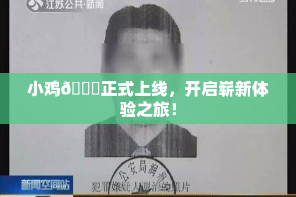 小鸡🐔正式上线，开启崭新体验之旅！