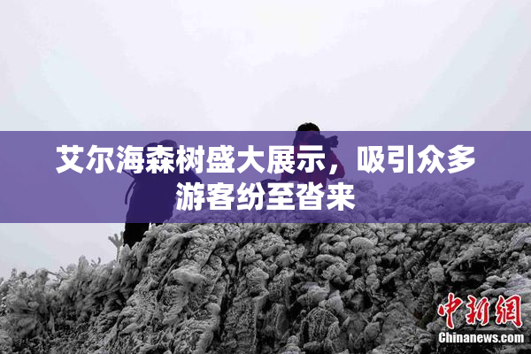 艾尔海森树盛大展示，吸引众多游客纷至沓来