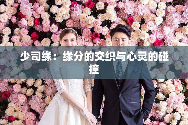 少司缘：缘分的交织与心灵的碰撞