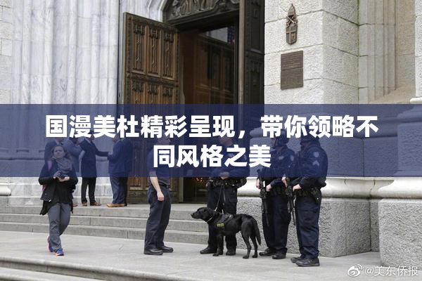 国漫美杜精彩呈现，带你领略不同风格之美
