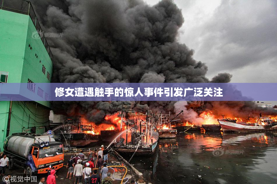 修女遭遇触手的惊人事件引发广泛关注
