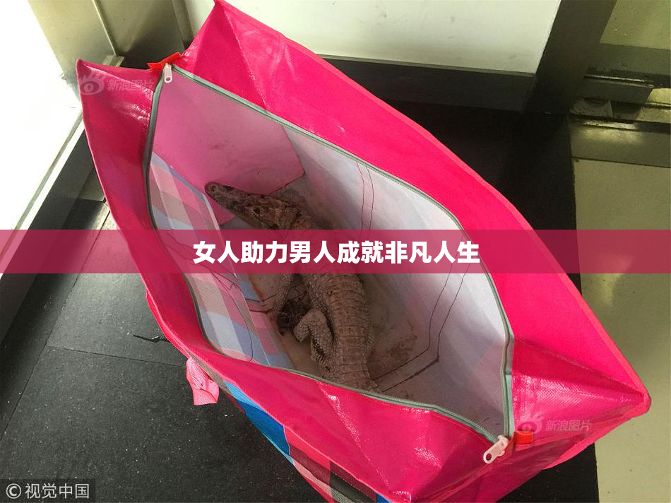 女人助力男人成就非凡人生
