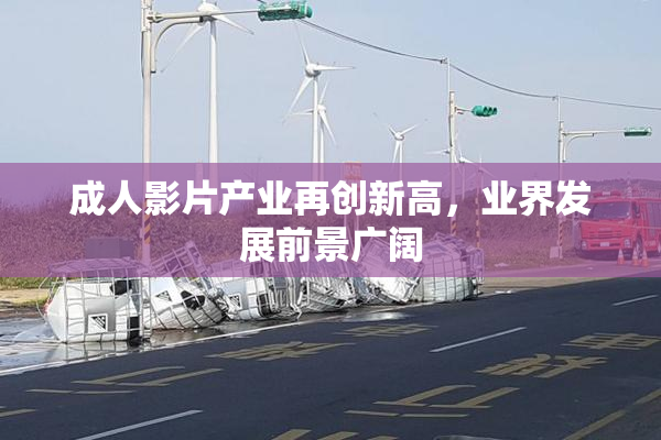 成人影片产业再创新高，业界发展前景广阔