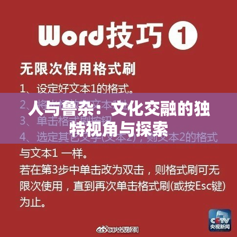 人与鲁杂：文化交融的独特视角与探索