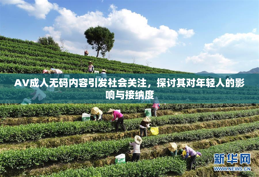 AV成人无码内容引发社会关注，探讨其对年轻人的影响与接纳度