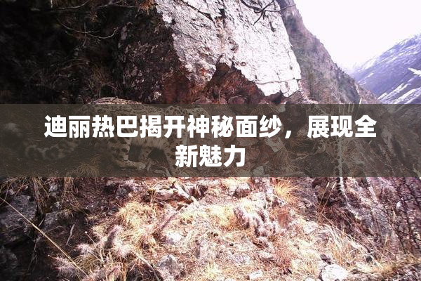 迪丽热巴揭开神秘面纱，展现全新魅力