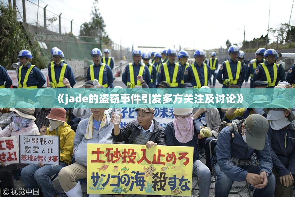 《jade的盗窃事件引发多方关注及讨论》