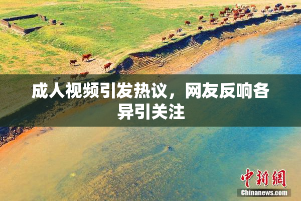 成人视频引发热议，网友反响各异引关注