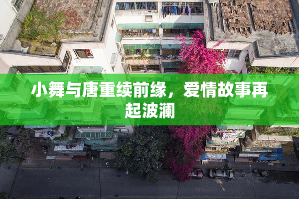 小舞与唐重续前缘，爱情故事再起波澜