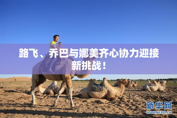 路飞、乔巴与娜美齐心协力迎接新挑战！