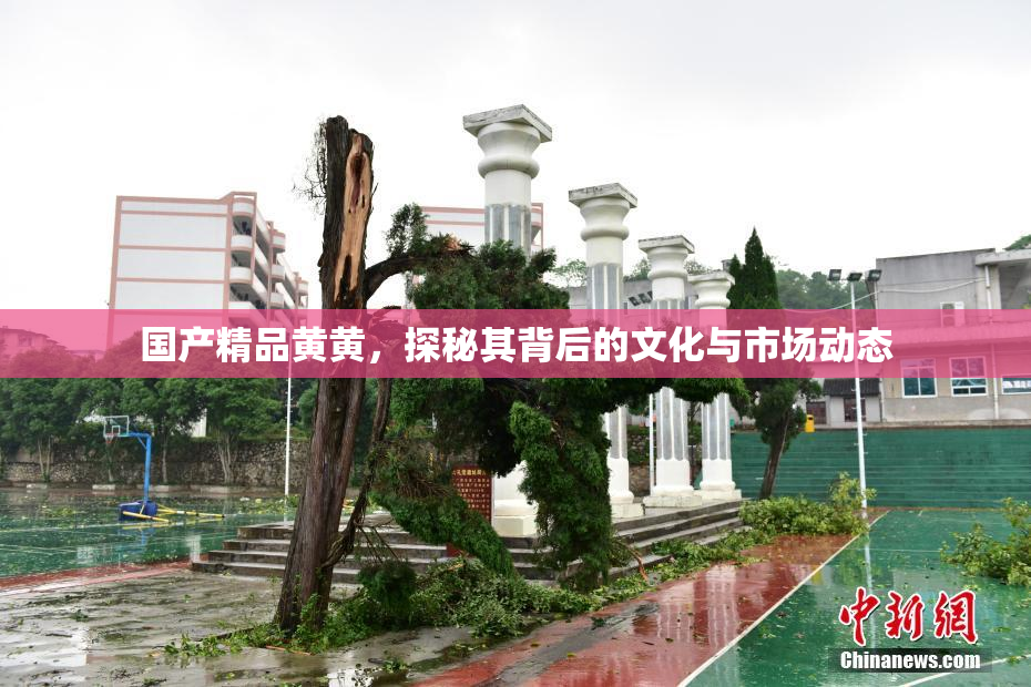 国产精品黄黄，探秘其背后的文化与市场动态
