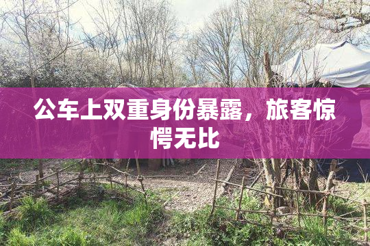 公车上双重身份暴露，旅客惊愕无比