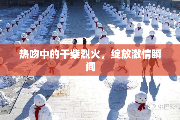 热吻中的干柴烈火，绽放激情瞬间