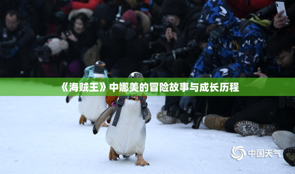 《海贼王》中娜美的冒险故事与成长历程