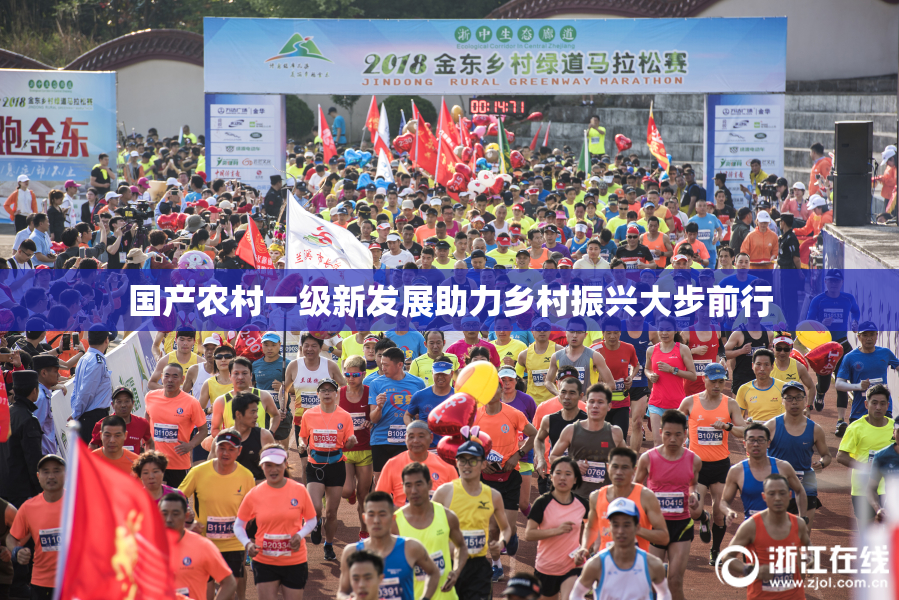 国产农村一级新发展助力乡村振兴大步前行