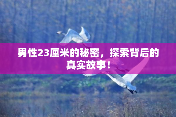 男性23厘米的秘密，探索背后的真实故事！