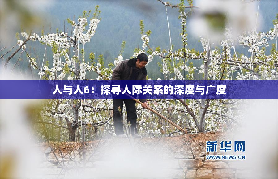 人与人6：探寻人际关系的深度与广度