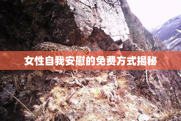 女性自我安慰的免费方式揭秘