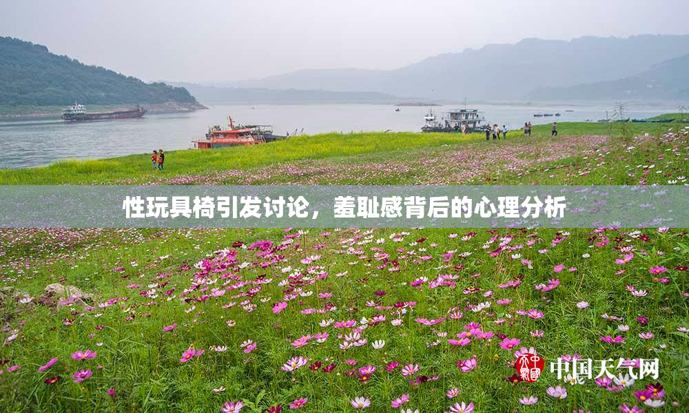 性玩具椅引发讨论，羞耻感背后的心理分析