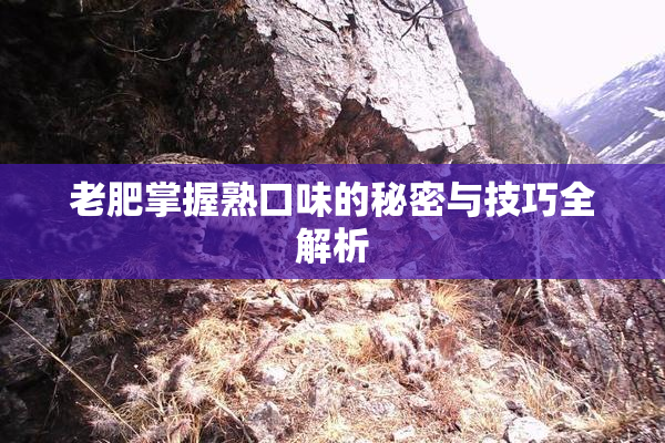 老肥掌握熟口味的秘密与技巧全解析